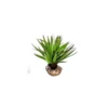 Plante succulente verte en tissu moyen modèle Ø 10 cm