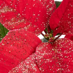 Poinsettia pailleté rouge en pot Ø 9 à 10,5 cm
