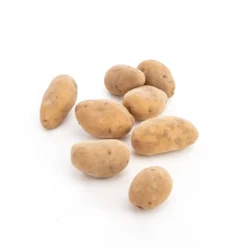 Pomme de terre Charlotte bio - Prix au kg
