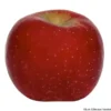 Pomme Early Red One bio de France - Prix au kg