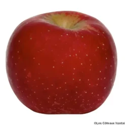 Pomme Early Red One bio de France - Prix au kg