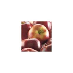 Pommier Delbard Celeste® Deltana. En racine nue, forme 1/2 tige calibre 6/8