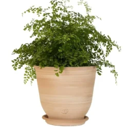 Pot Campanas lisse en terre cuite - D40xH35