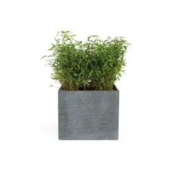 Pot carré bas Stream coloris anthracite 55x55x46 cm