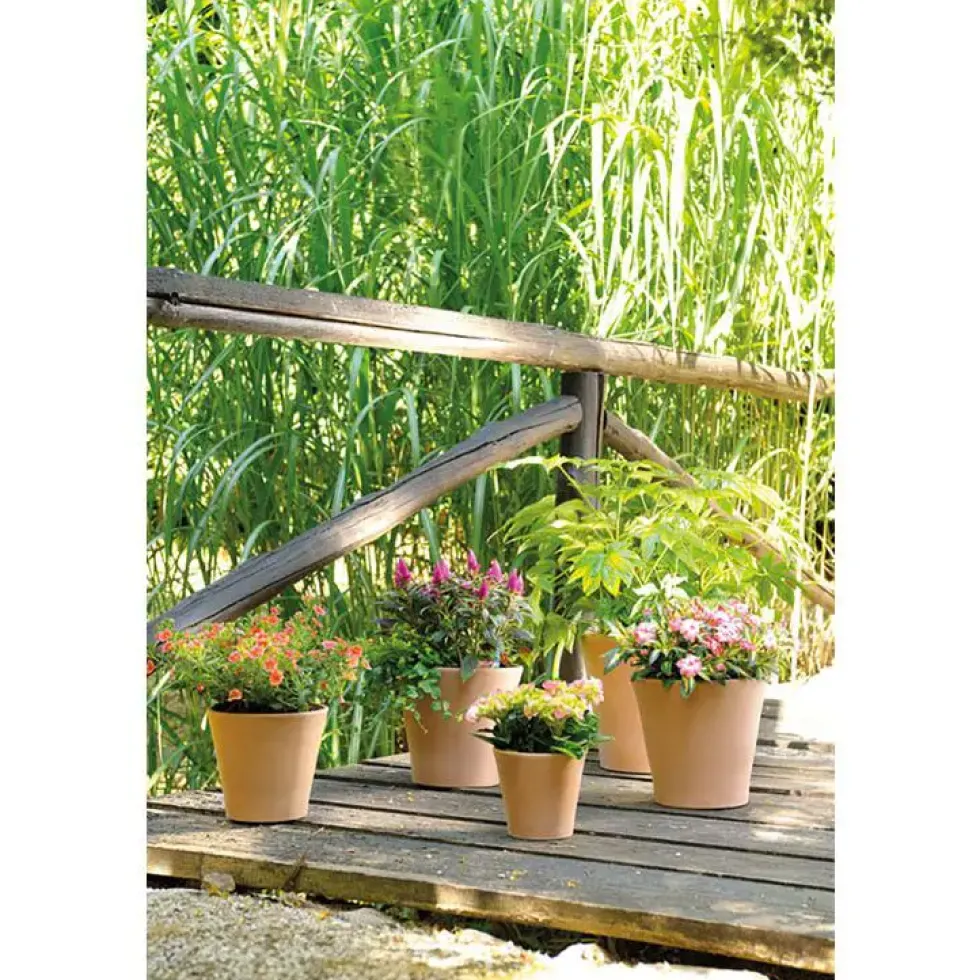 Pot Cono Antica Terre cuite claire – D36xH32,9