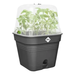 Pot de culture carré coloris living noir Elho Green Basics Allin1 - 20 cm
