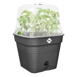 Pot de culture carré coloris living noir Elho Green Basics Allin1 - 20 cm