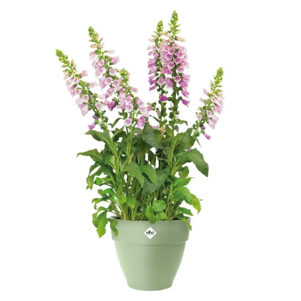 Pot en polypropylène vert pistache Elho Vibia Campana - Ø 40 x 33,4 cm