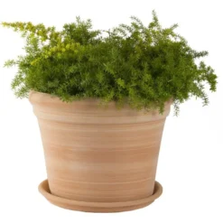 Pot gamme Cocio bordo Ø 42 cm