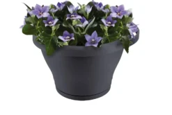 Pot gouttière coloris anthracite Elho Corsica 3 L - L 27 cm x H 15,1 cm