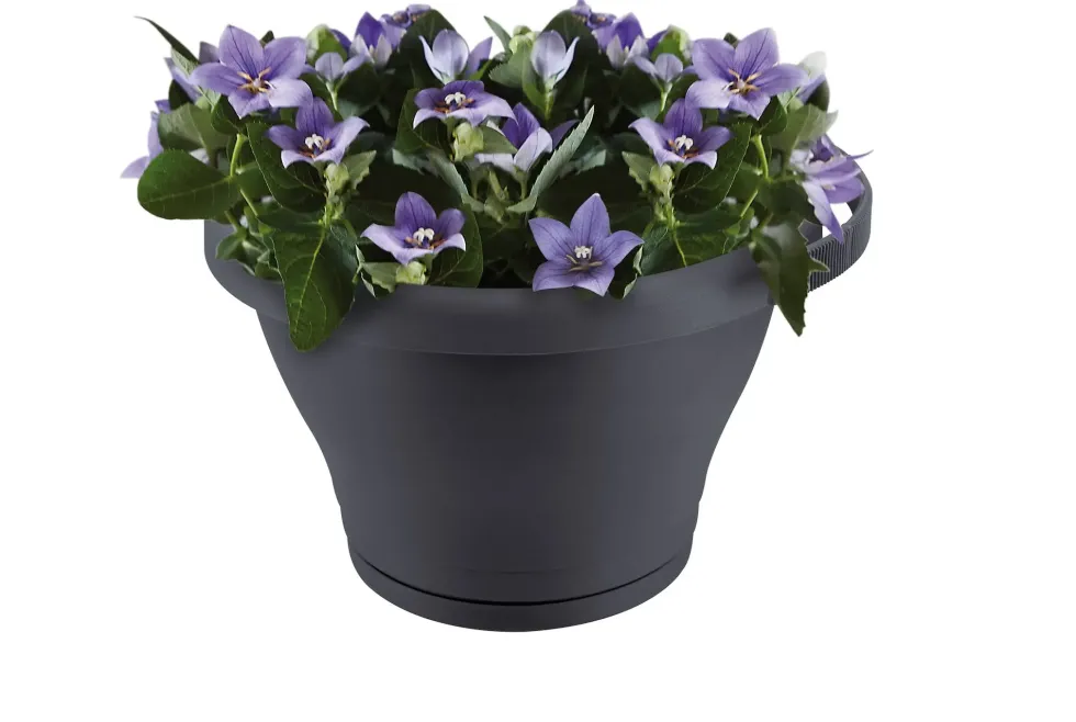 Pot gouttière coloris anthracite Elho Corsica 3 L - L 27 cm x H 15,1 cm