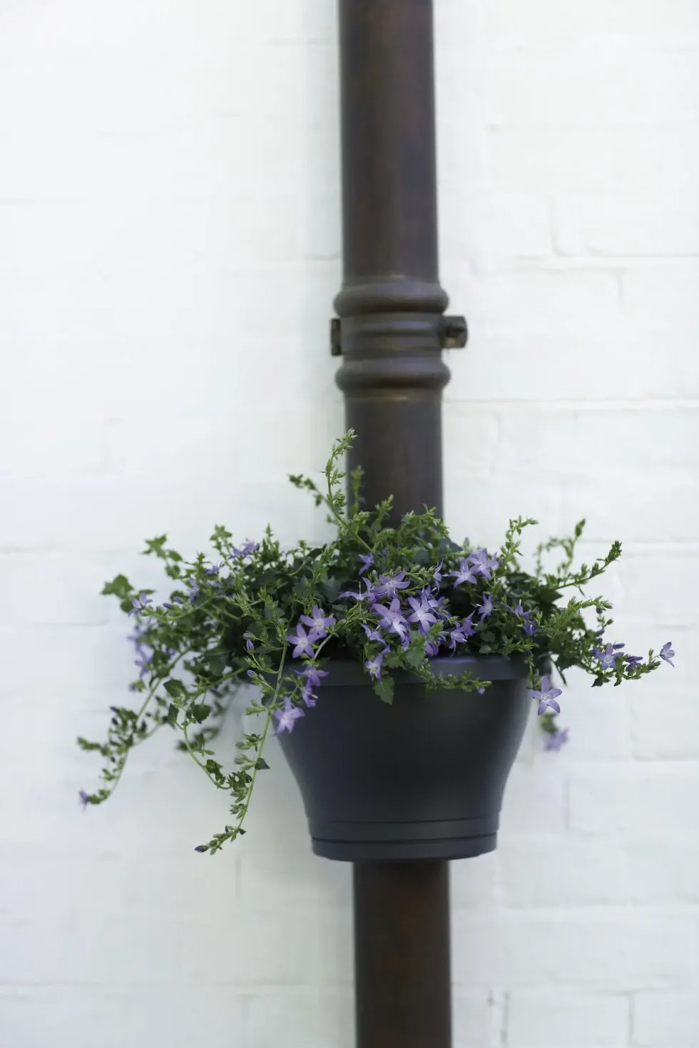 Pot gouttière coloris anthracite Elho Corsica 3 L - L 27 cm x H 15,1 cm