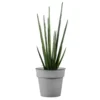 Pot horticole en acier peint gris clair Ø 19 x H 17 cm