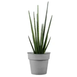 Pot horticole en acier peint gris clair Ø 19 x H 17 cm
