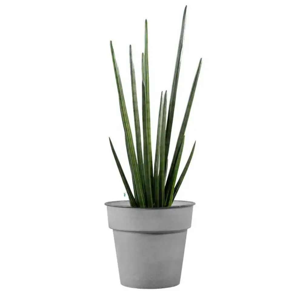 Pot horticole en acier peint gris clair Ø 19 x H 17 cm