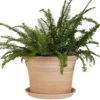 Pot rond Cocio Lisio en terre cuite claire - D40x H29