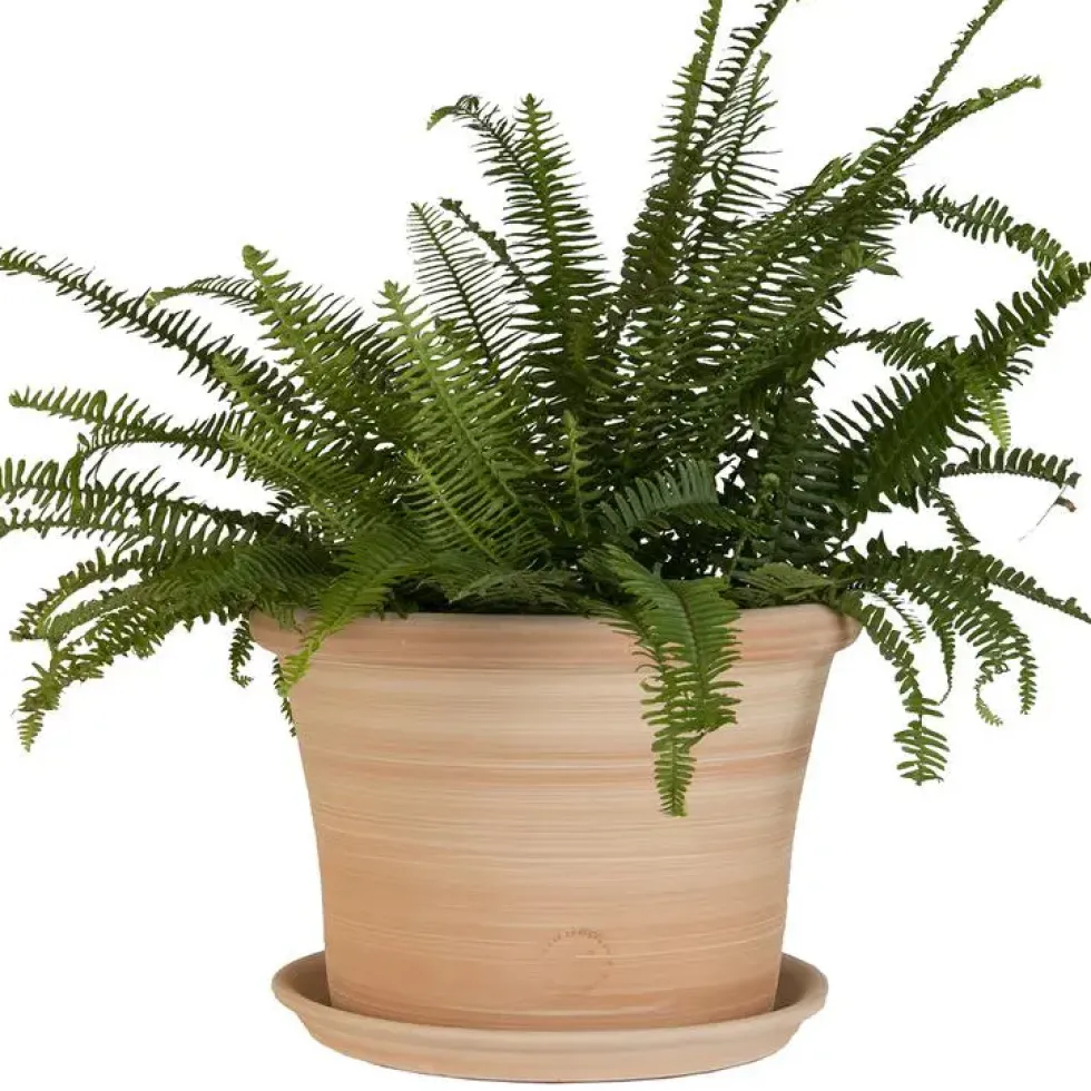 Pot rond Cocio Lisio en terre cuite claire - D40x H29
