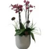 Pot rond en corde Ø 27 cm