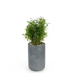 Pot rond Stream haut Anthracite Ø.32 x H.50 cm