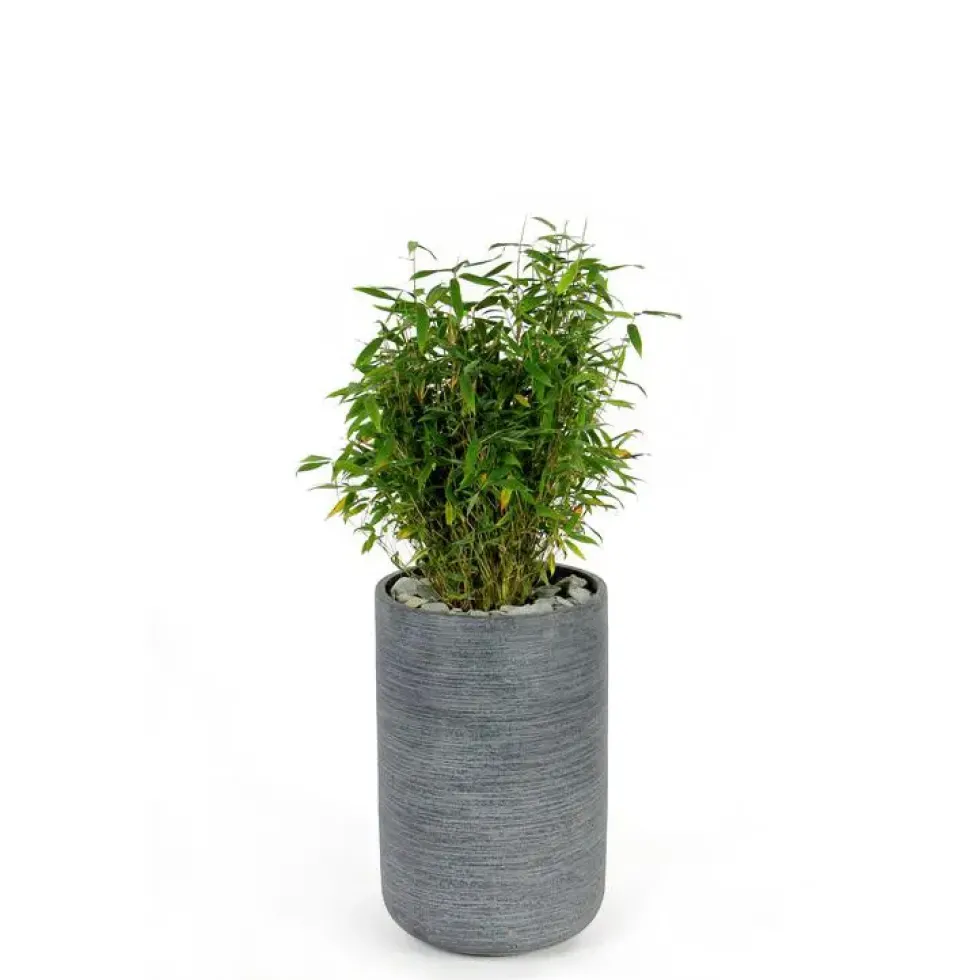 Pot rond Stream haut Anthracite Ø.32 x H.50 cm