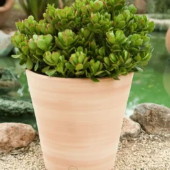 Pot Vaso lisse D40x H40
