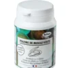 Poudre de moule verte pour chien et chat Bubimex – 60 g