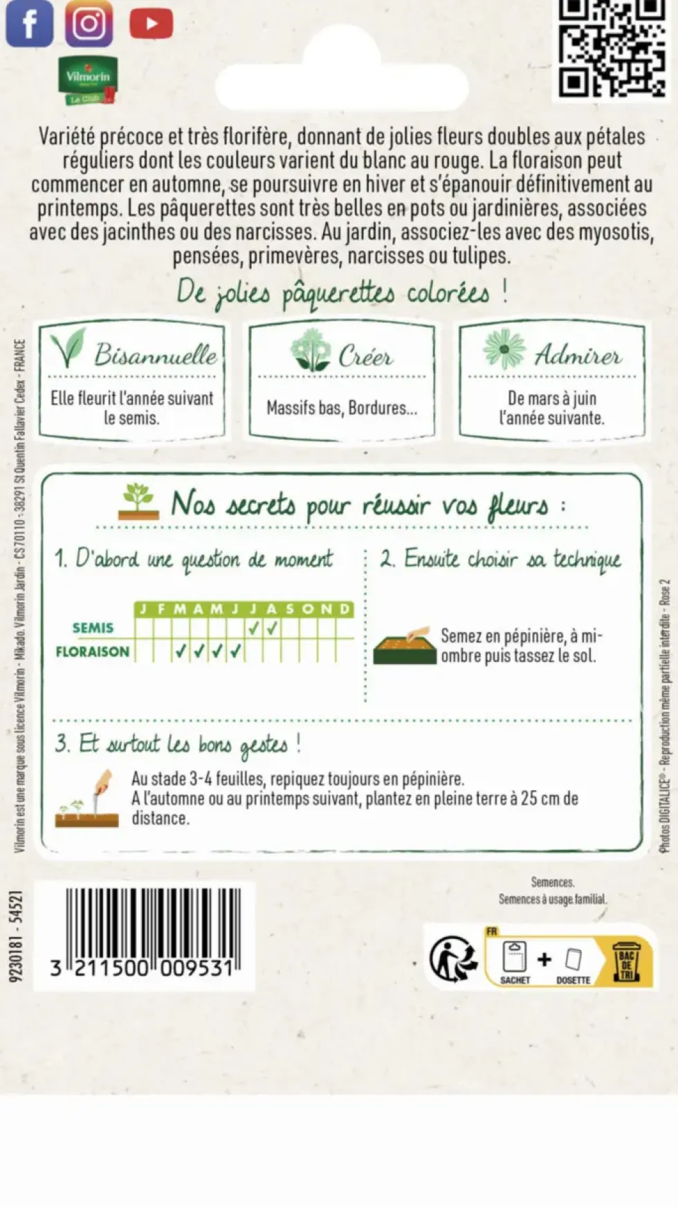 Pâquerette Tapis varié Vilmorin - graines à semer