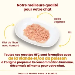 Pâtée pour chat HFC Jelly au filet de thon et homard Almo Nature - 55 g