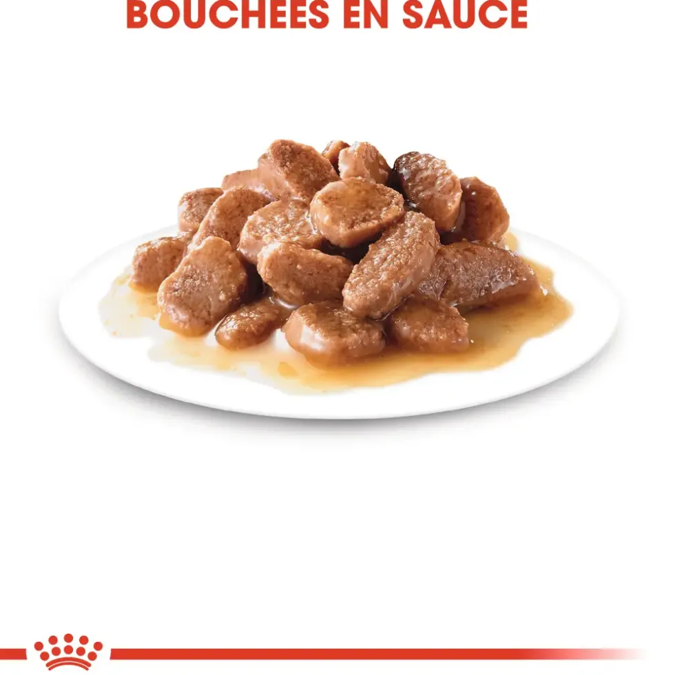 Pâtées pour chat adulte stérilisé émincés en sauce Royal Canin Sterilised - 12 x 85 g
