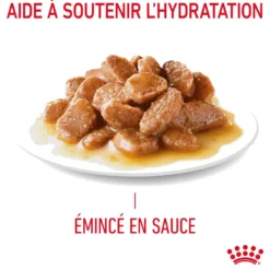 Pâtées pour chat en gelée Royal Canin Appetite Control Care - 12 x 85 g