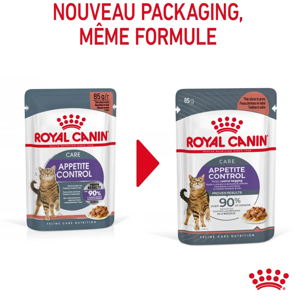 Pâtées pour chat en gelée Royal Canin Appetite Control Care - 12 x 85 g
