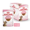 Pâtées pour chaton émincés en sauce Royal Canin Kitten Sterilised - 12 x 85 g