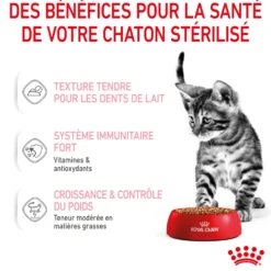 Pâtées pour chaton émincés en sauce Royal Canin Kitten Sterilised - 12 x 85 g