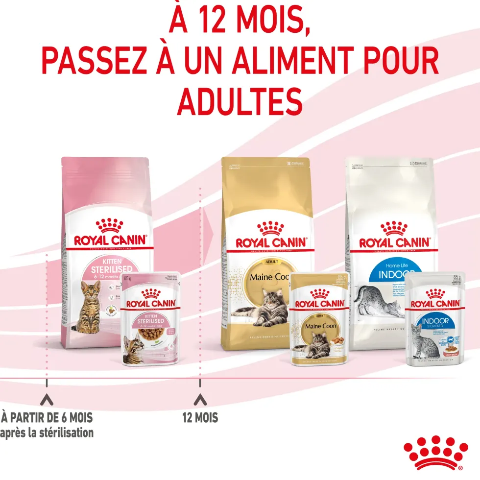 Pâtées pour chaton émincés en sauce Royal Canin Kitten Sterilised - 12 x 85 g