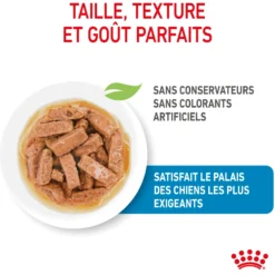 Pâtées pour chiot de grande race Royal Canin Maxi Puppy - 10 x 140 g