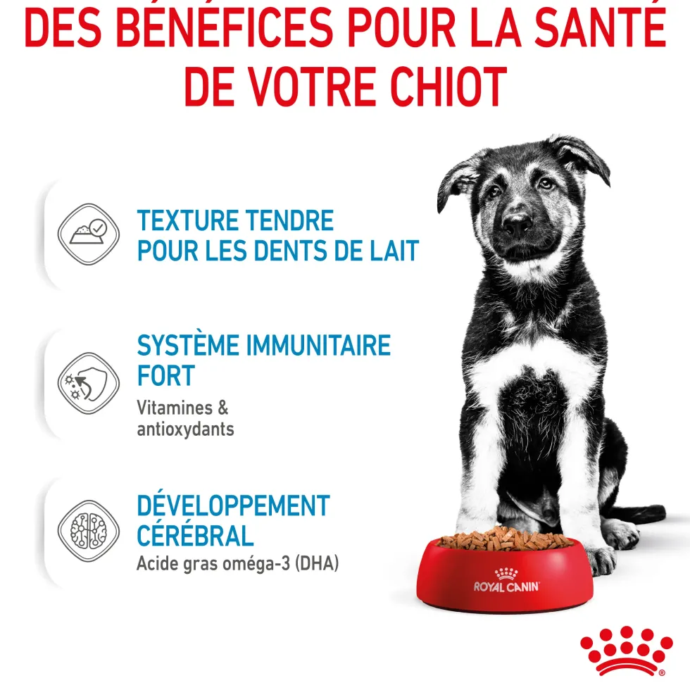 Pâtées pour chiot de grande race Royal Canin Maxi Puppy - 10 x 140 g