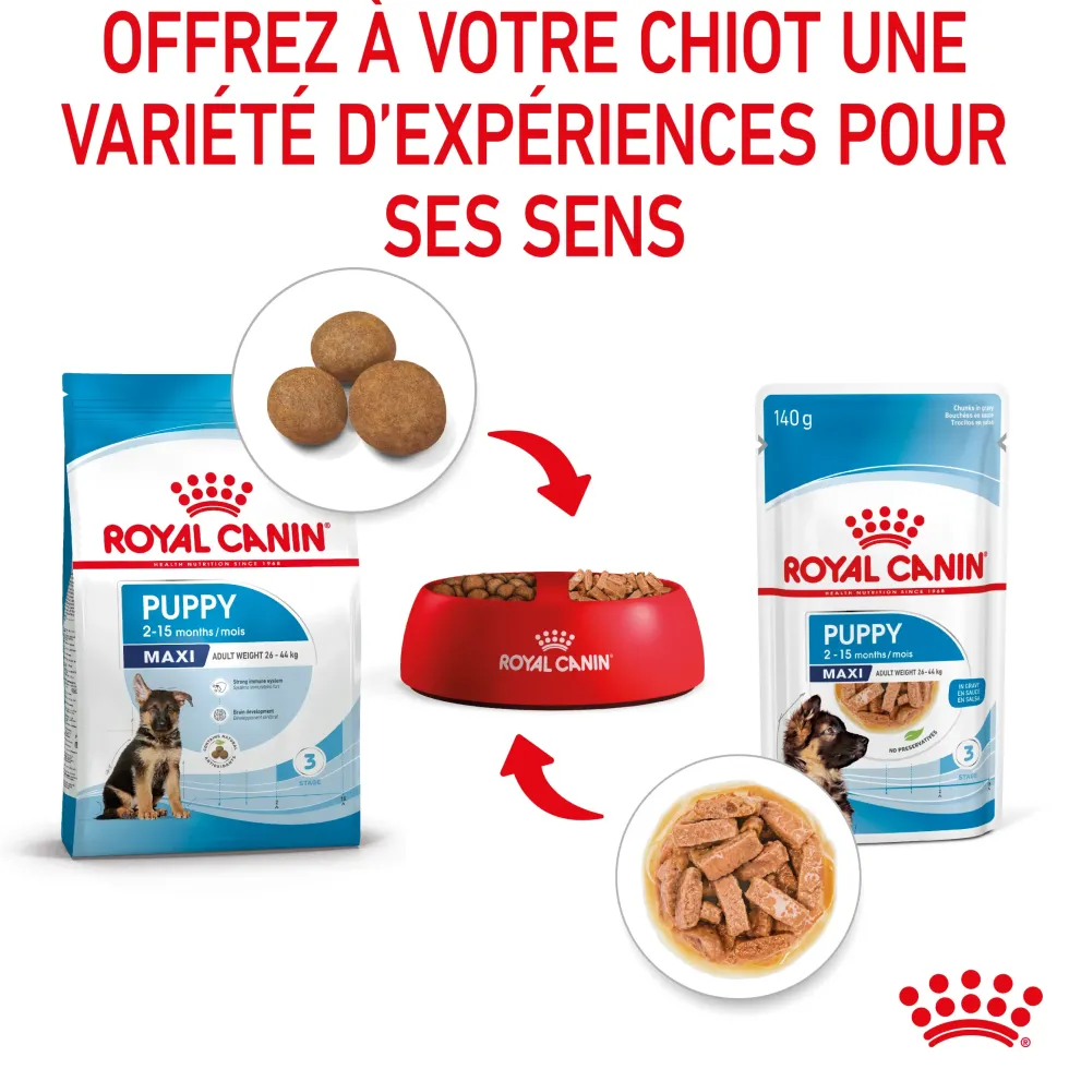 Pâtées pour chiot de grande race Royal Canin Maxi Puppy - 10 x 140 g