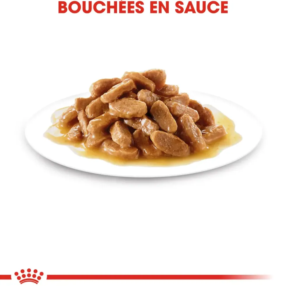 Pâtées pour chiot de petite taille Royal Canin Puppy Mini - 12 x 85 g