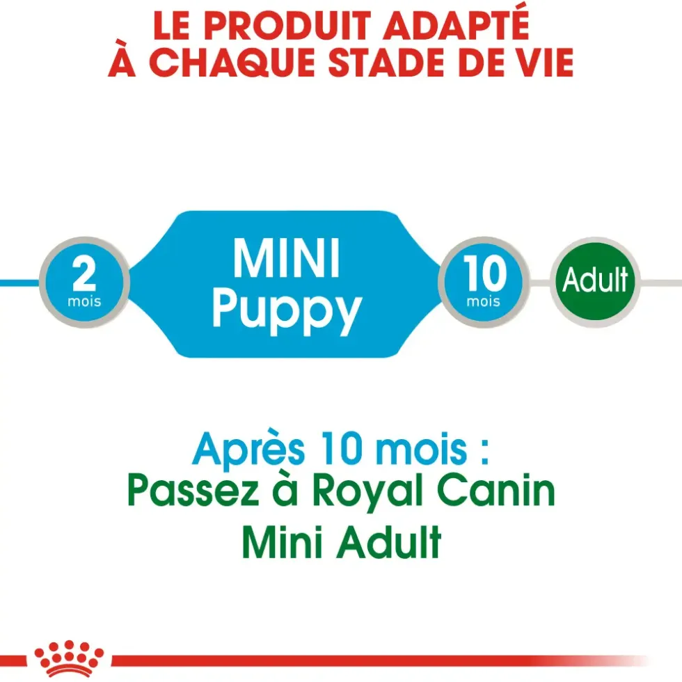 Pâtées pour chiot de petite taille Royal Canin Puppy Mini - 12 x 85 g