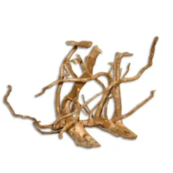 Racine Vigne rare rouge, 10-20 cm