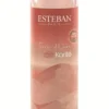 Recharge de parfum pour bouquet diffuseur senteur terre d'ocre karité Esteban - 250 ml