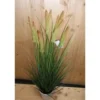Roseaux artificiels en pot blanc - 45 cm