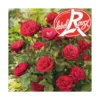 Rosier Mona Lisa® Label Rouge en pot de 5L