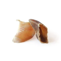 Sabot de veau en vrac - prix à la pièce