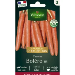 Sachet de semences potagères graines de carotte Boléro HF1 Graines d'Exception