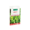 Sarriette botanic® - graines à semer (3 m²)