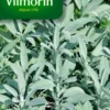 Sauge Officinale Vilmorin - graines à semer