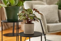 Sellette ronde en métal noir Quinty taille 2 - Ø 40 x H 40 cm