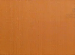 Set de table canna coloris orange en coton - 33 x 45 cm