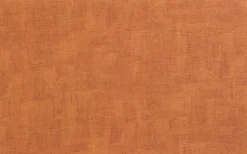 Set de table PVC effet cuir coloris caramel Aran - 45 x 33 cm